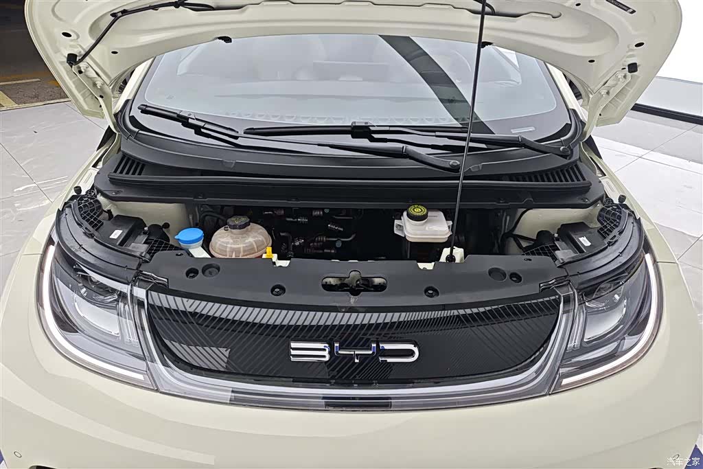 BYD Dolphin, 2023 10