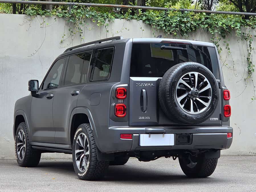 Haval H9 2024, фото 6