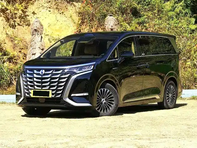 Denza D-9 2025 — купить из Китая под заказ