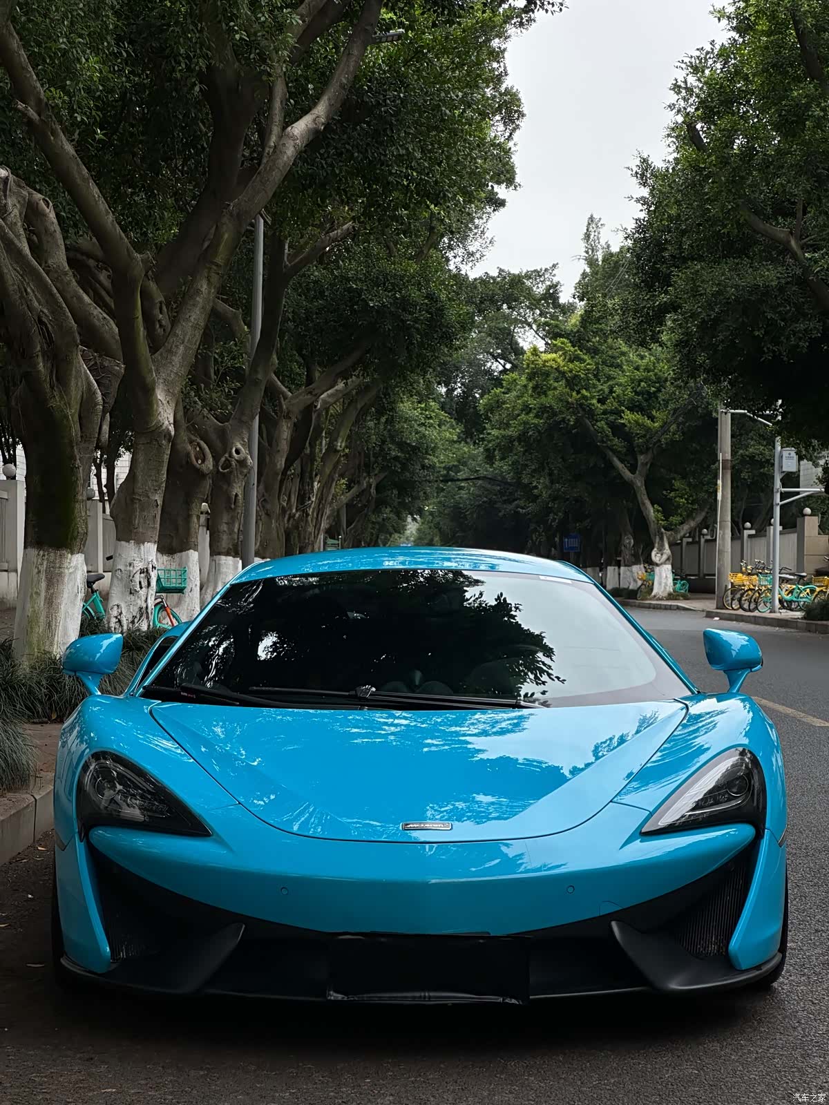 McLaren 540C, 2017 15
