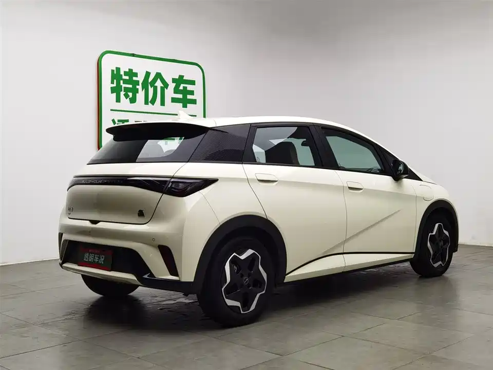 BYD dolphin