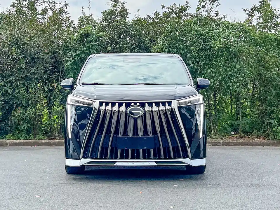 Trumpchi Trumpchi M8