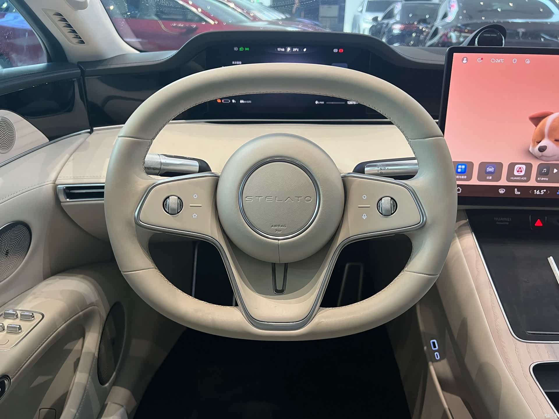 Stelato S9, 2024 19