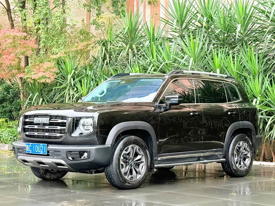 Haval Big dog