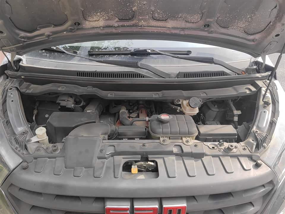 Jinbei Golden Sea Lion Classic