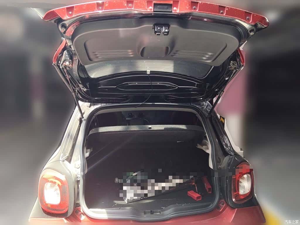 Smart Forfour, 2018 10