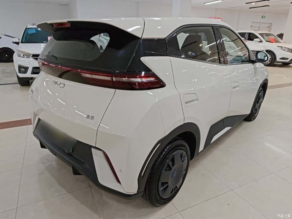 BYD Seagull, 2024 7