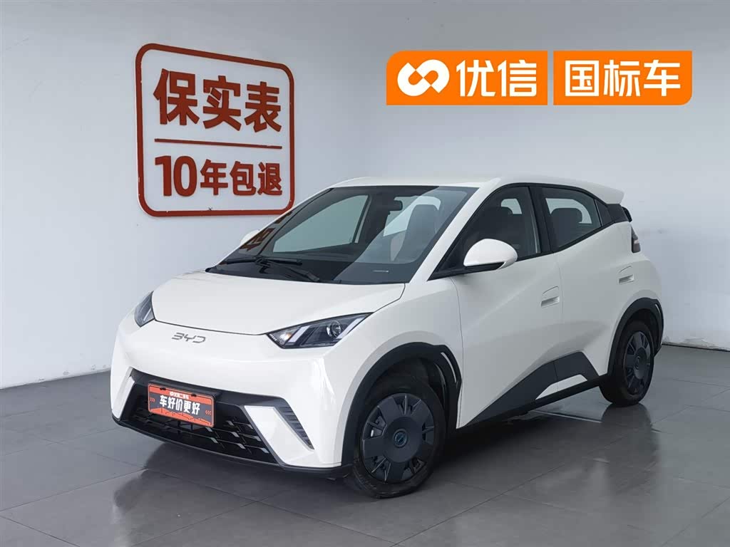 BYD Seagull