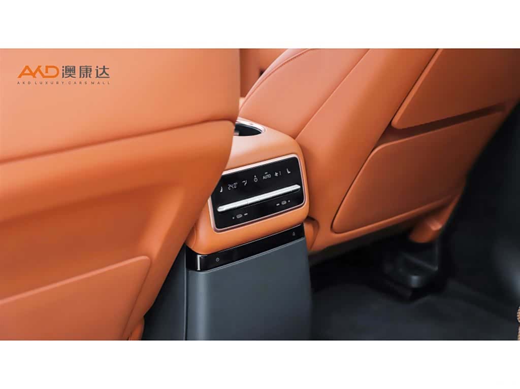 Li Auto L9, 2023 10