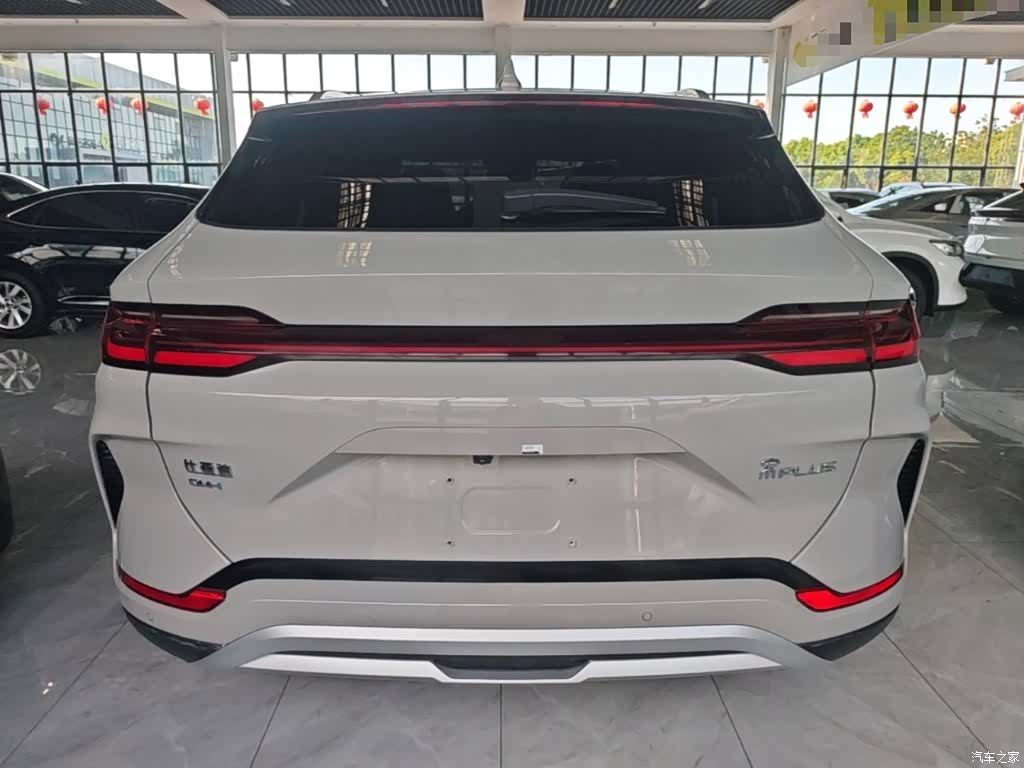 BYD Song, 2024 6