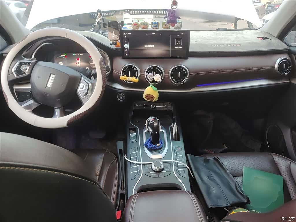 WEY VV6, 2021 20