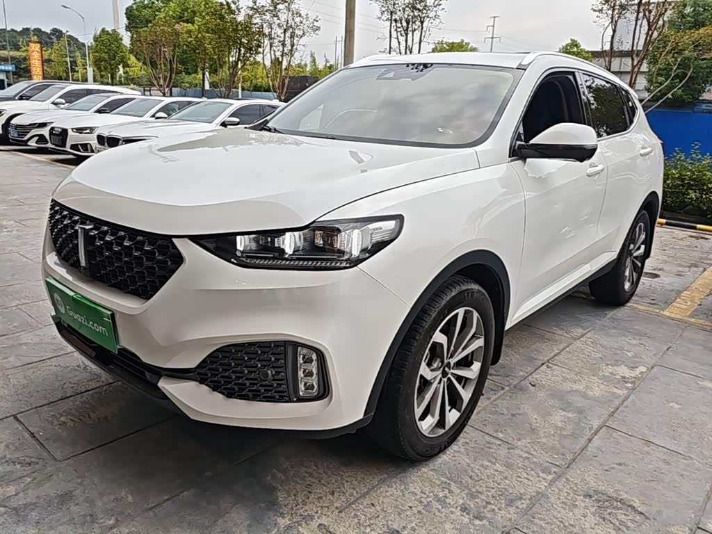 Wey VV6