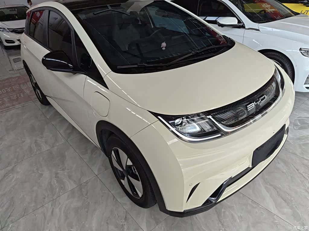 BYD Dolphin, 2024 4