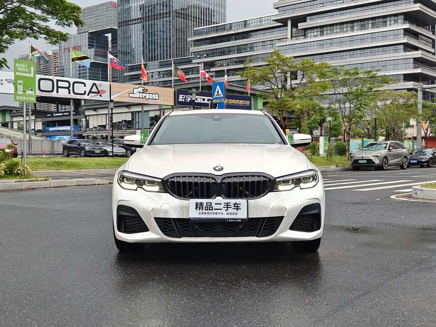 BMW 3 Series 2020, фото 2