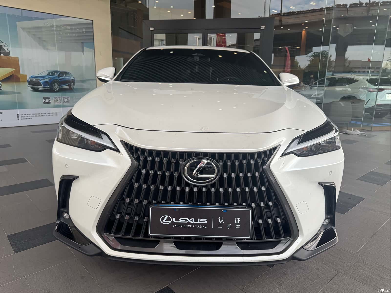Lexus NX, 2024 2