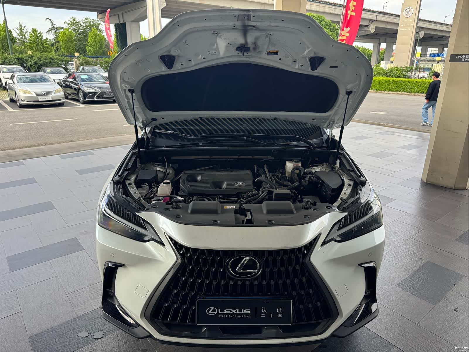 Lexus NX, 2024 18