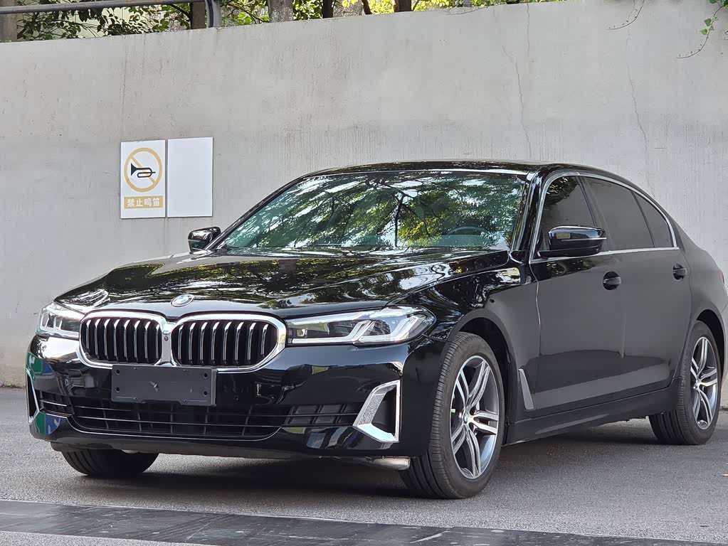 BMW 5 Series 5 2021 530Li Lead Luxury