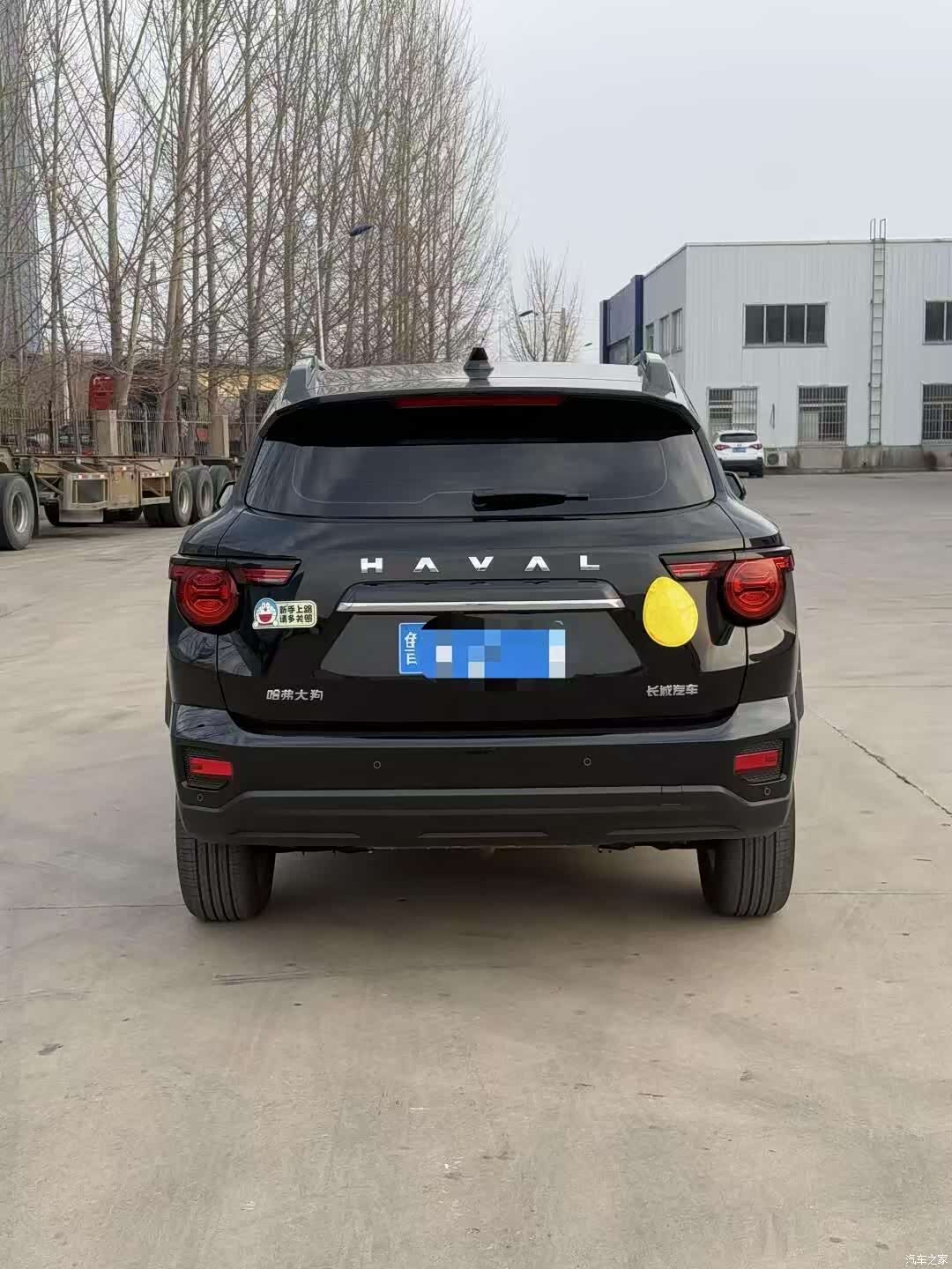 Haval Big Dog, 2023 8