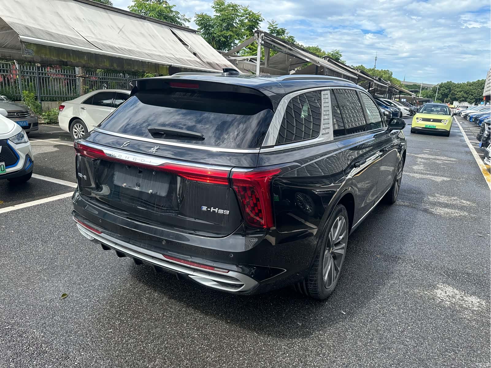 Hongqi E-HS9, 2023 13