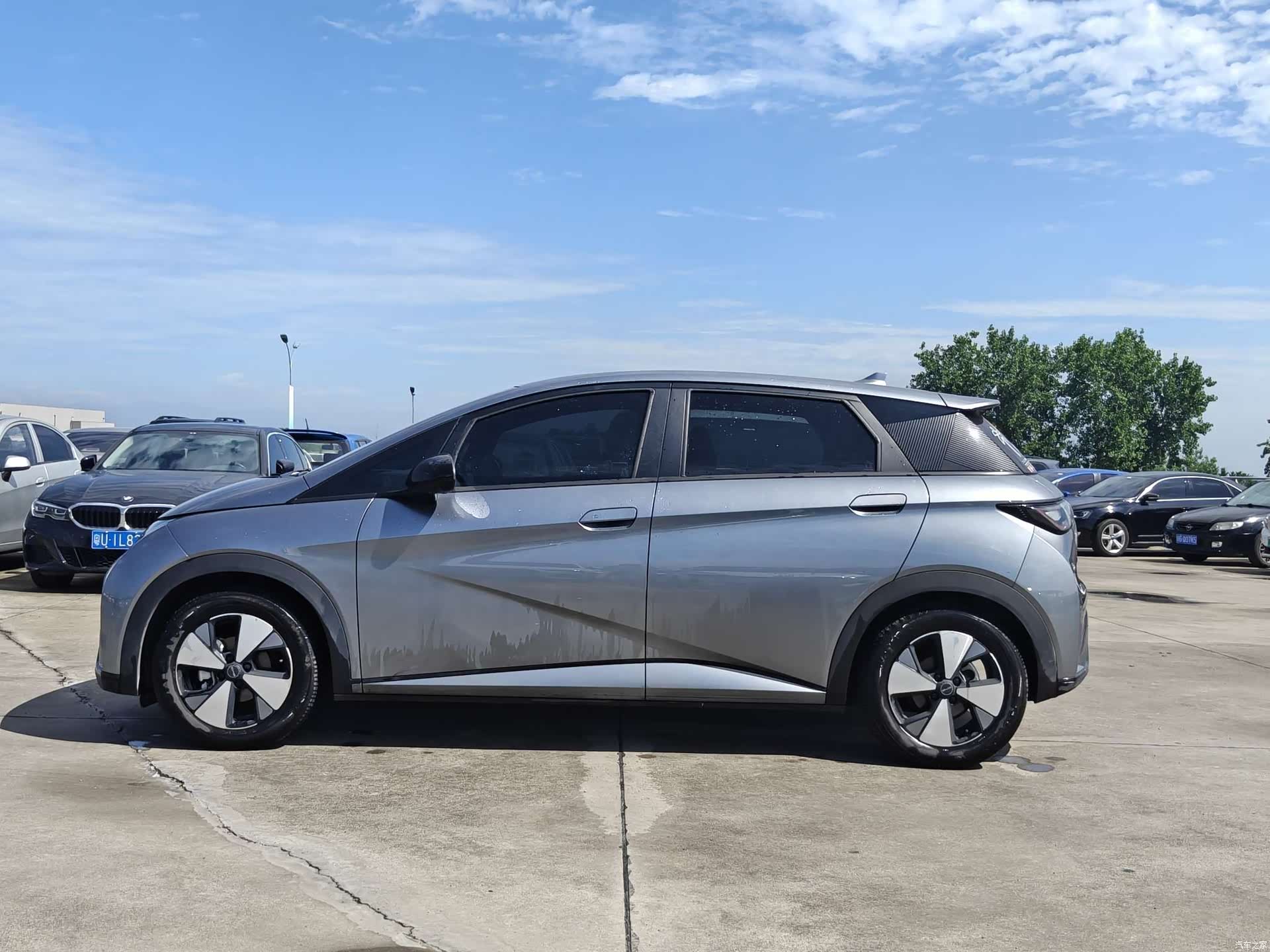 BYD Dolphin, 2024 7
