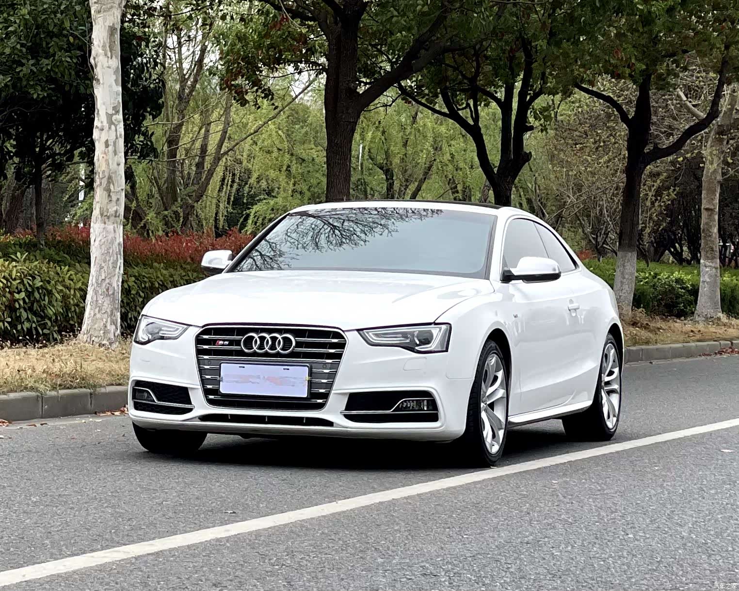 Audi S5, 2014 1