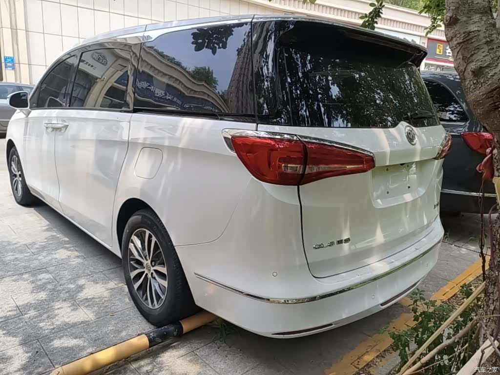 Buick GL8, 2020 23