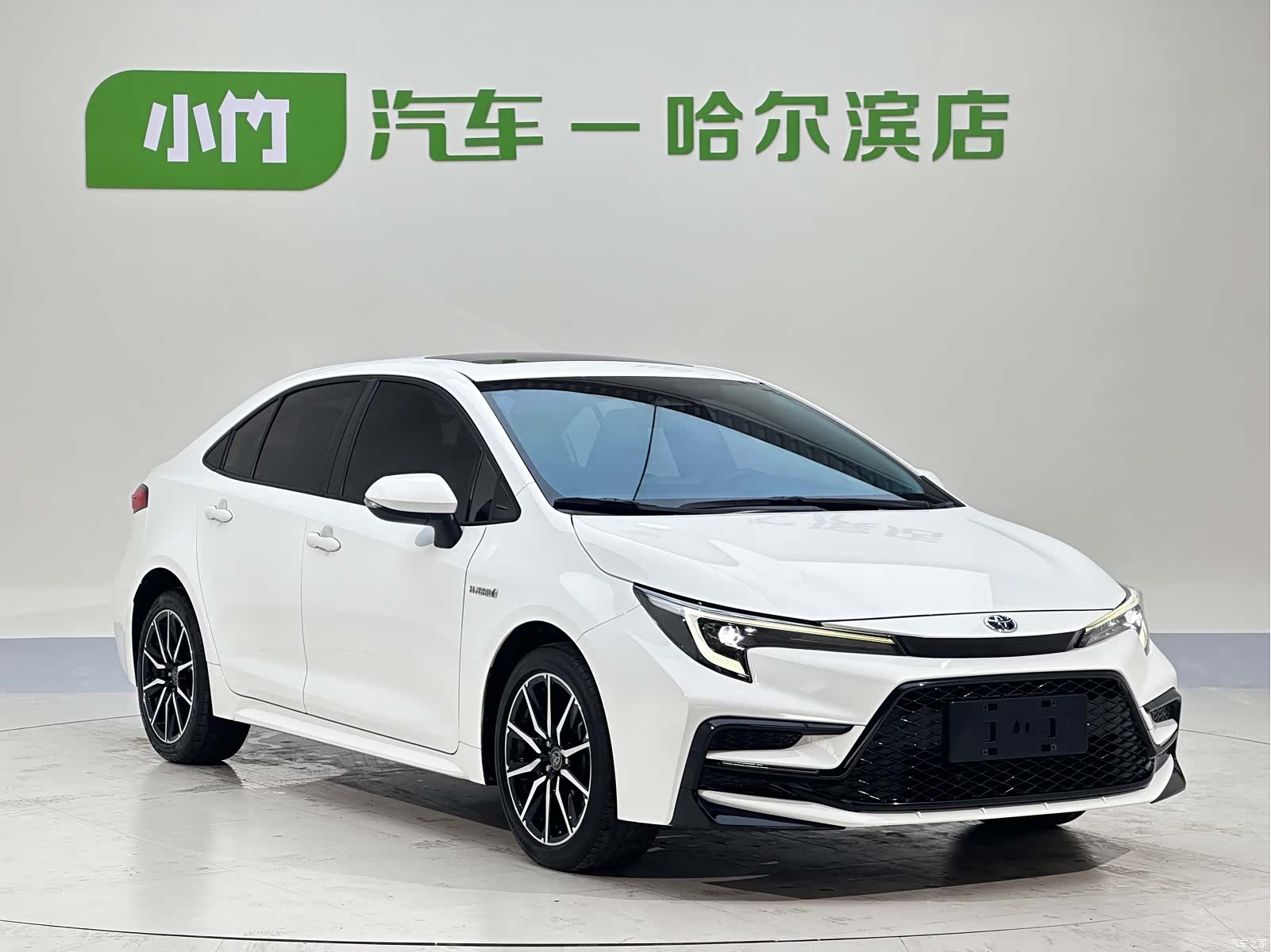 Toyota Levin, 2023 3