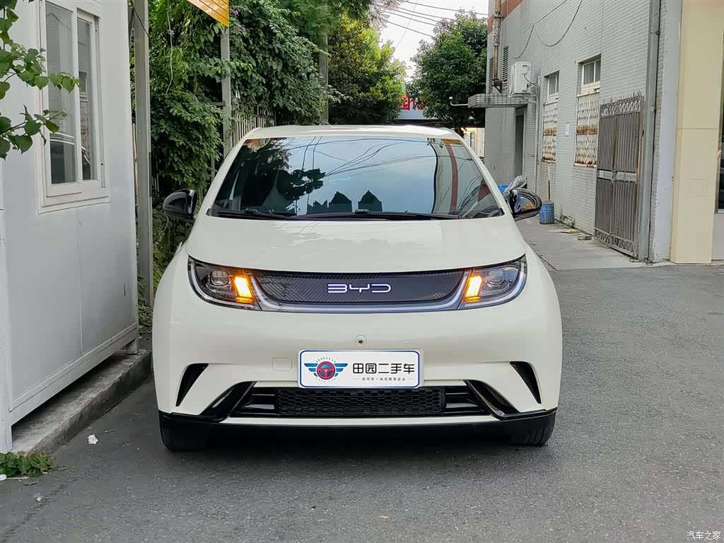 BYD Dolphin, 2024 2