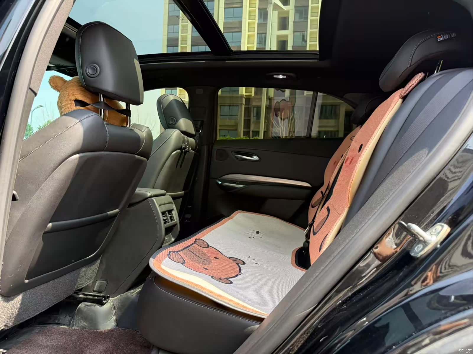 Cadillac XT4, 2025 7