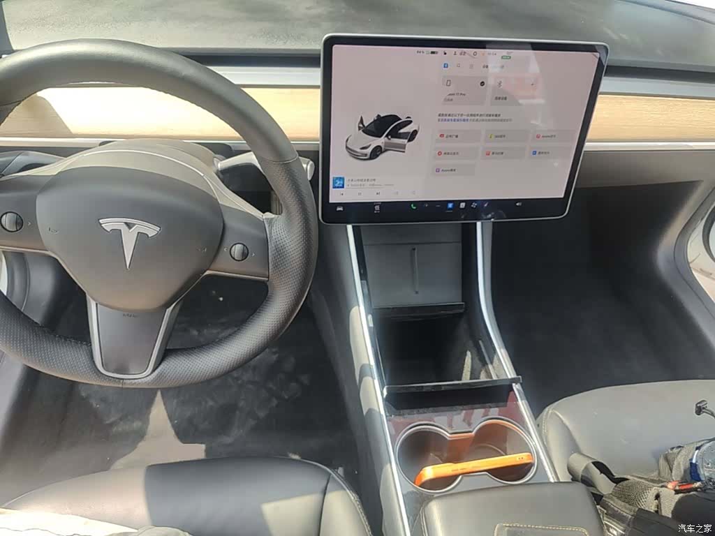 Tesla Model 3, 2021 10