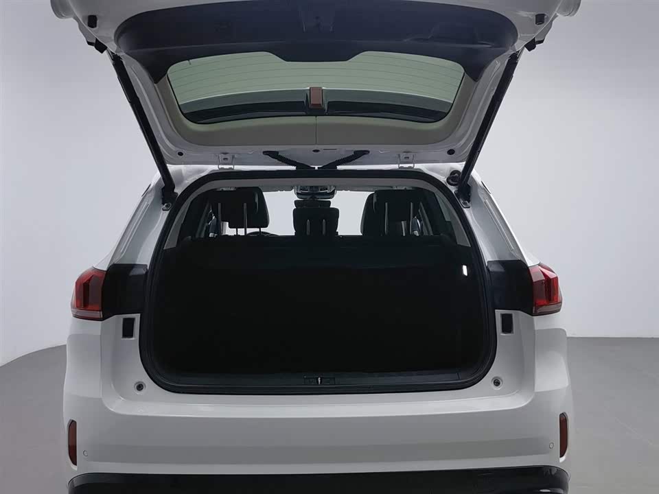 Weipai VV6