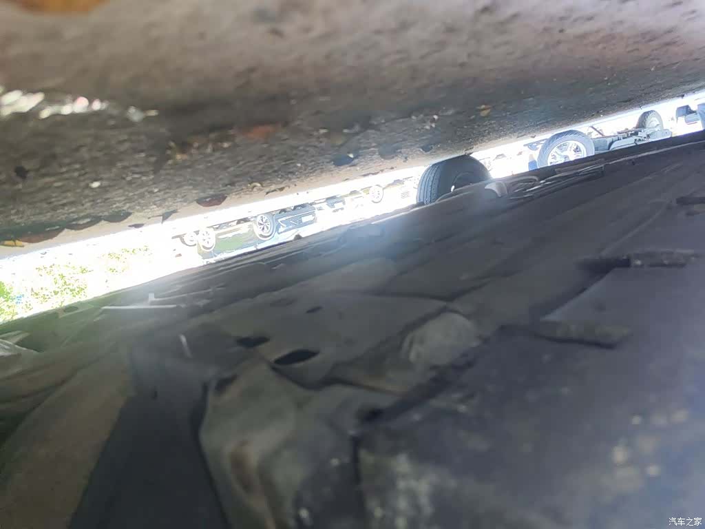 Nissan D50, 2014 15