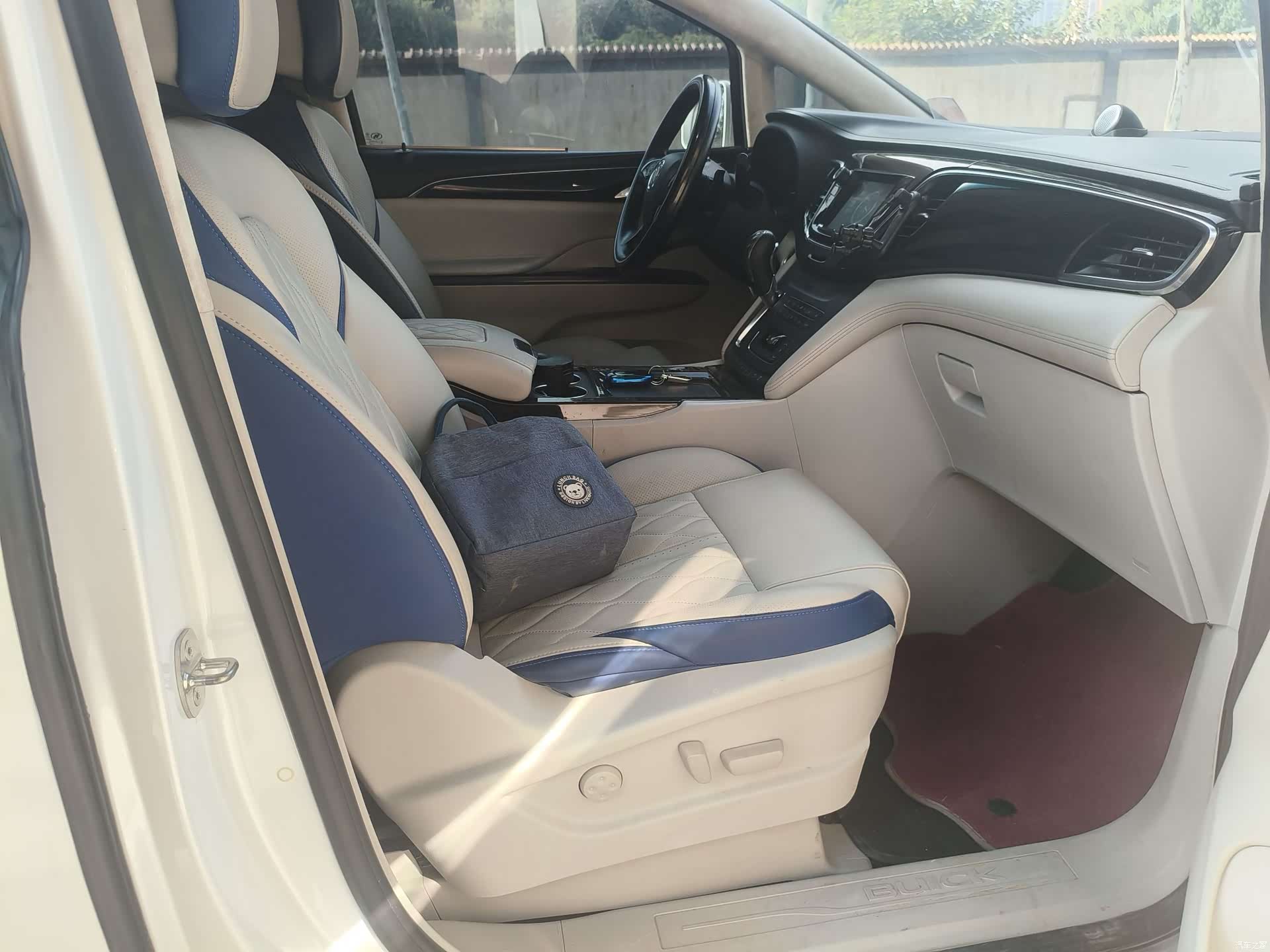 Buick GL8, 2019 9