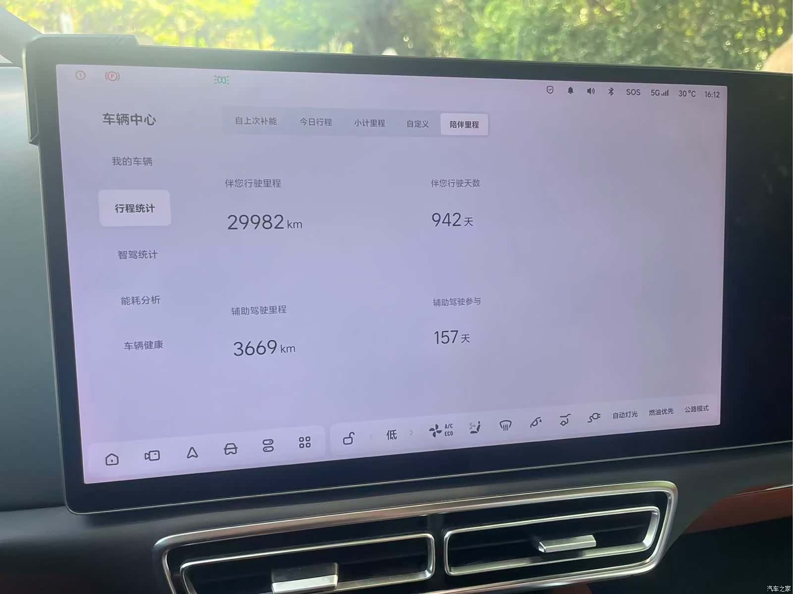 Li Auto L8, 2024 11