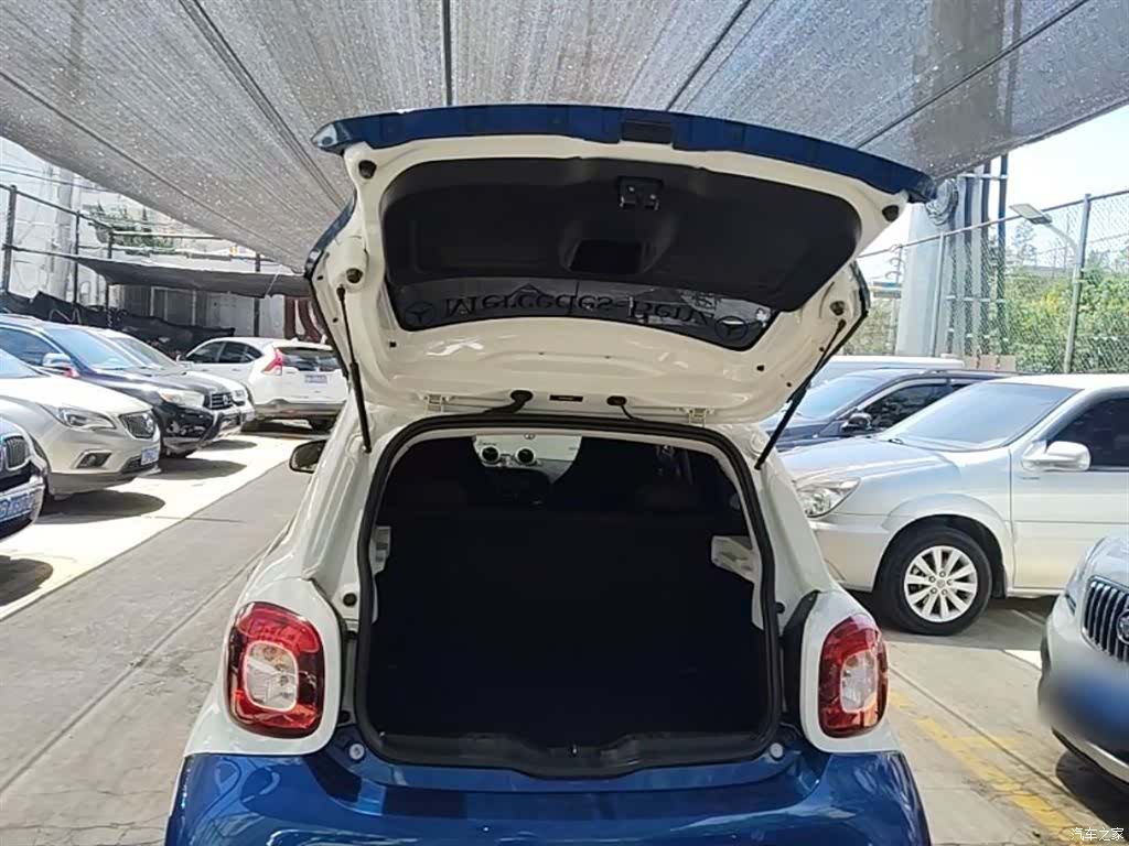 Smart Forfour, 2018 19
