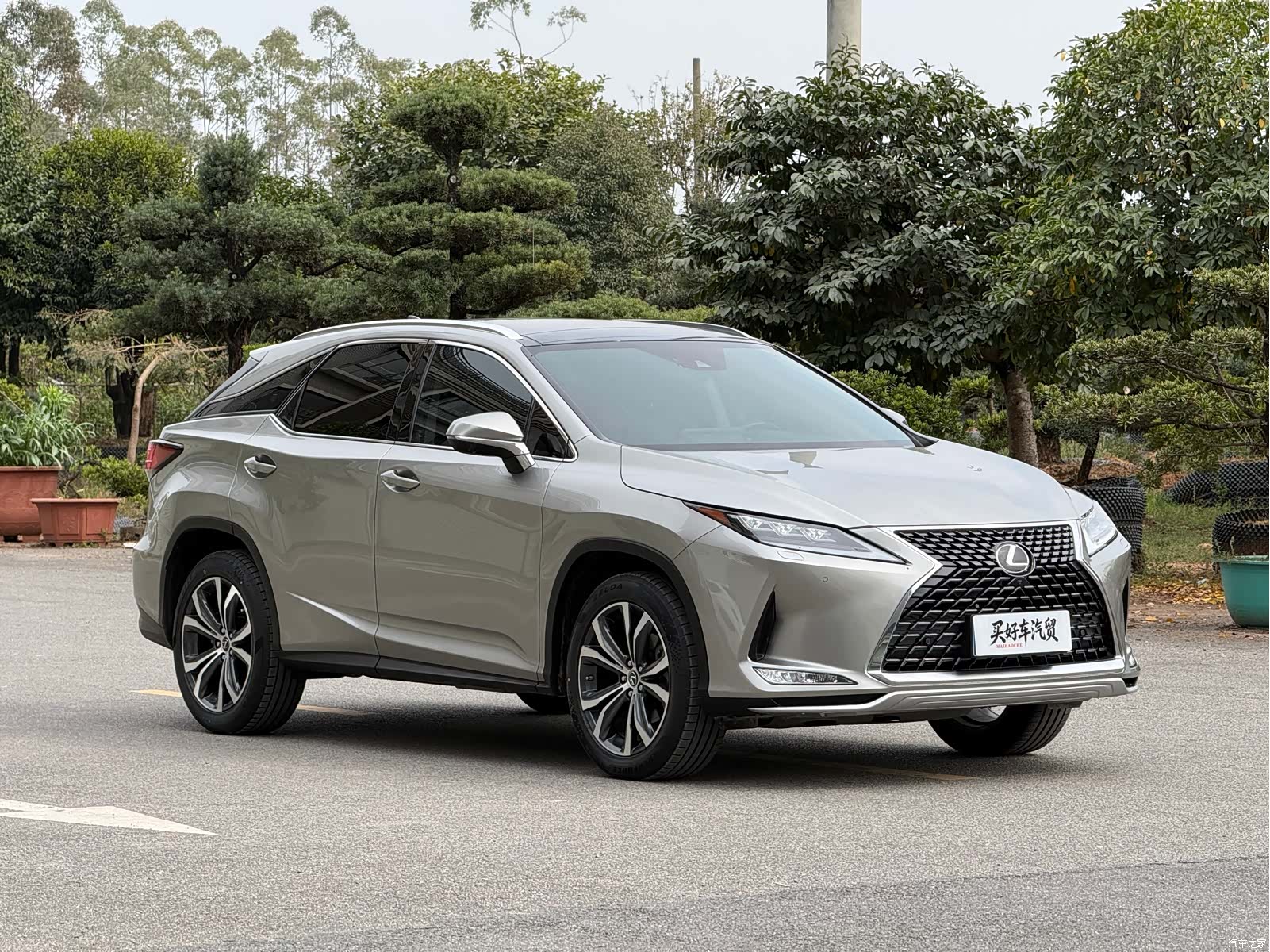 Lexus RX, 2021 3