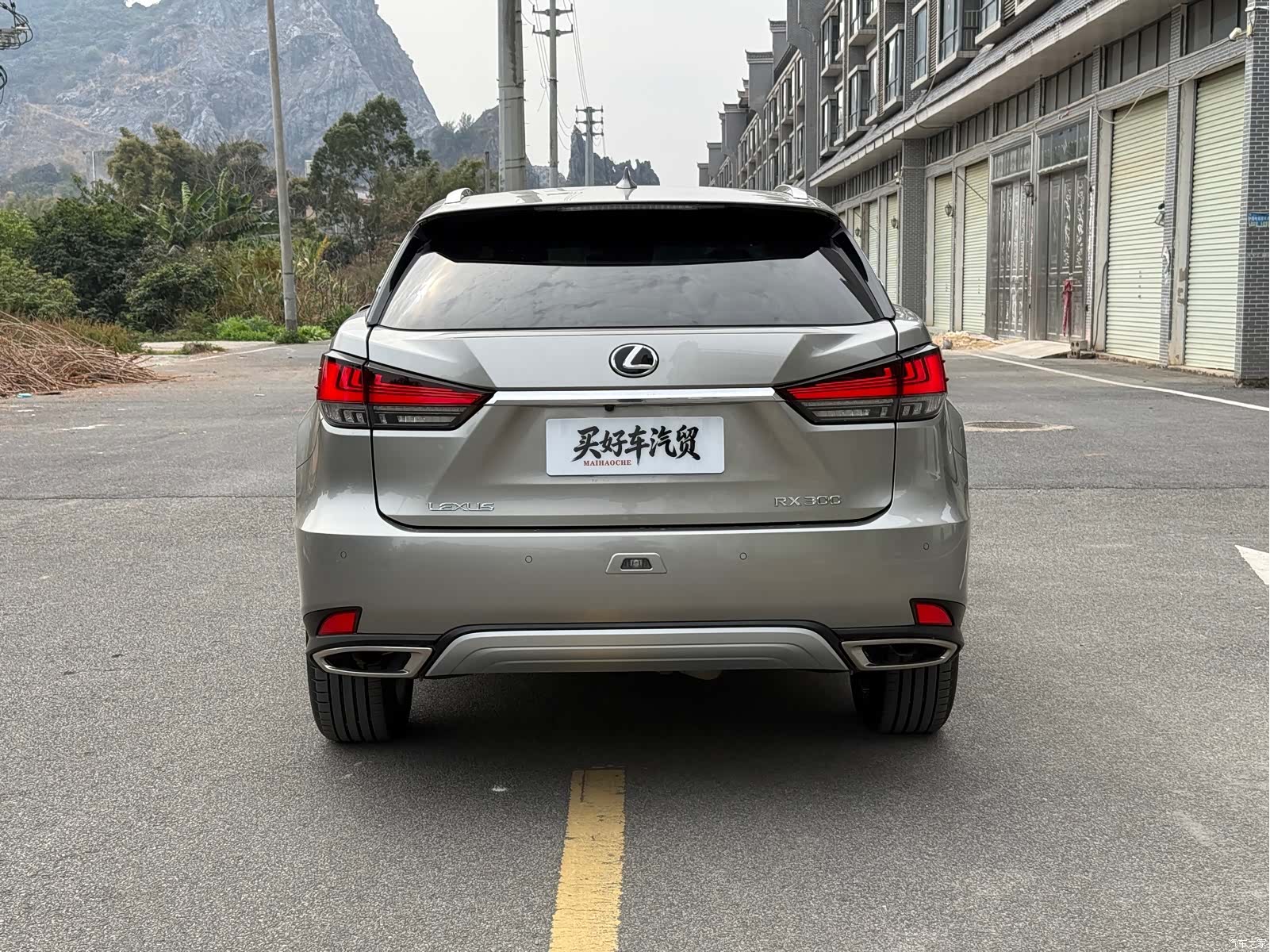 Lexus RX, 2021 10
