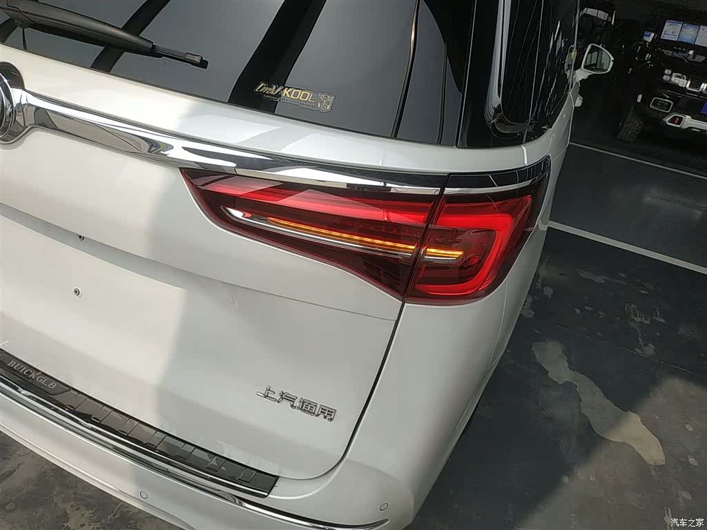 Buick GL8, 2022 8
