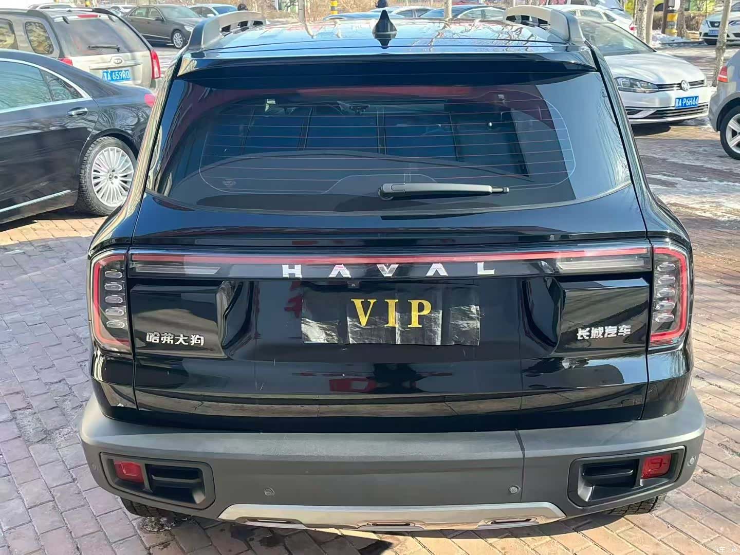 Haval Big Dog, 2024 4