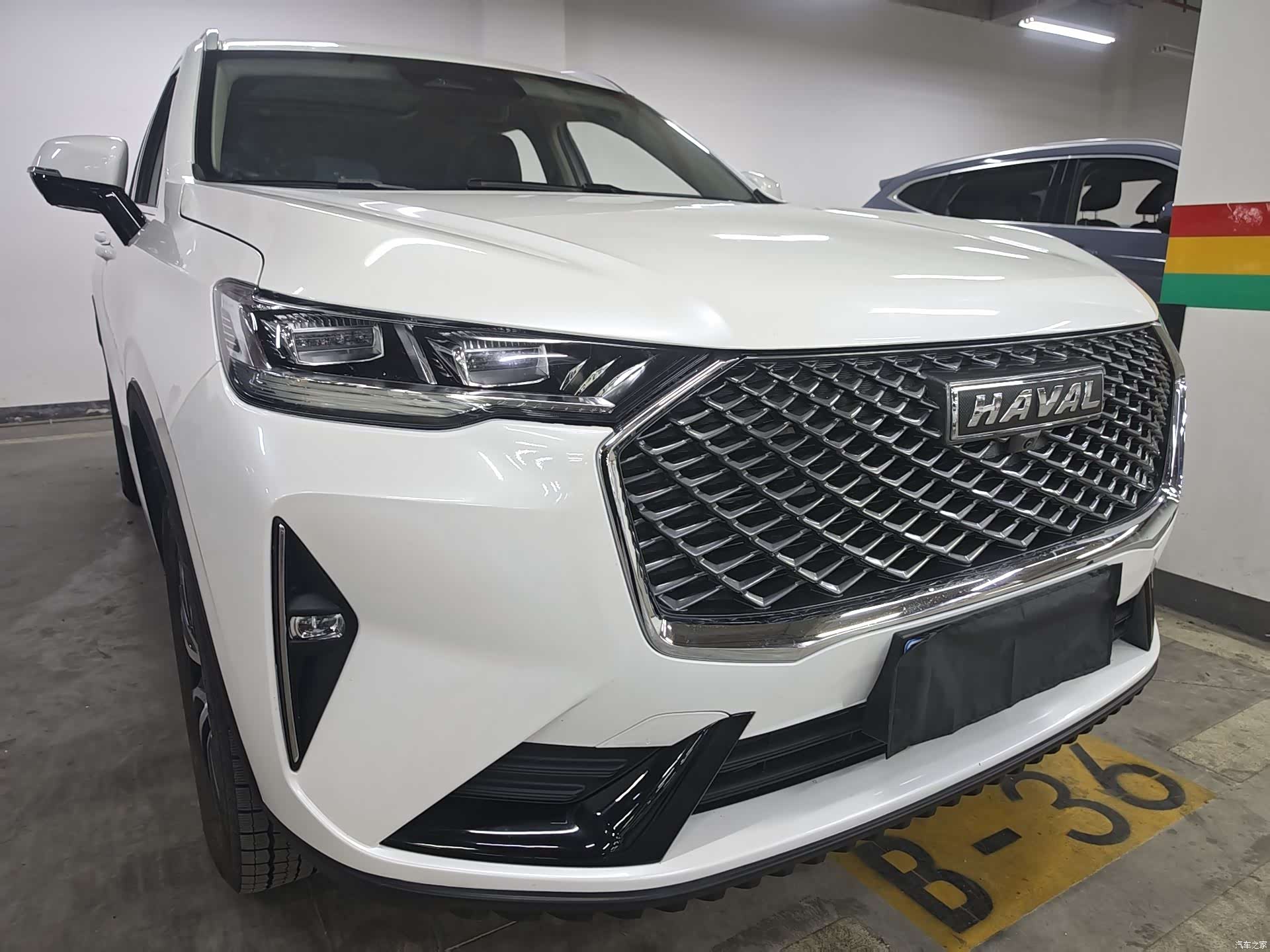 Haval H6, 2025 все фото
