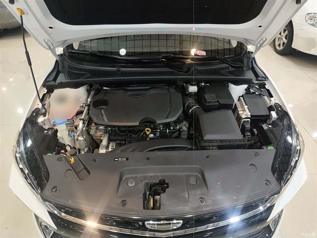 Geely Binray, 2024 16
