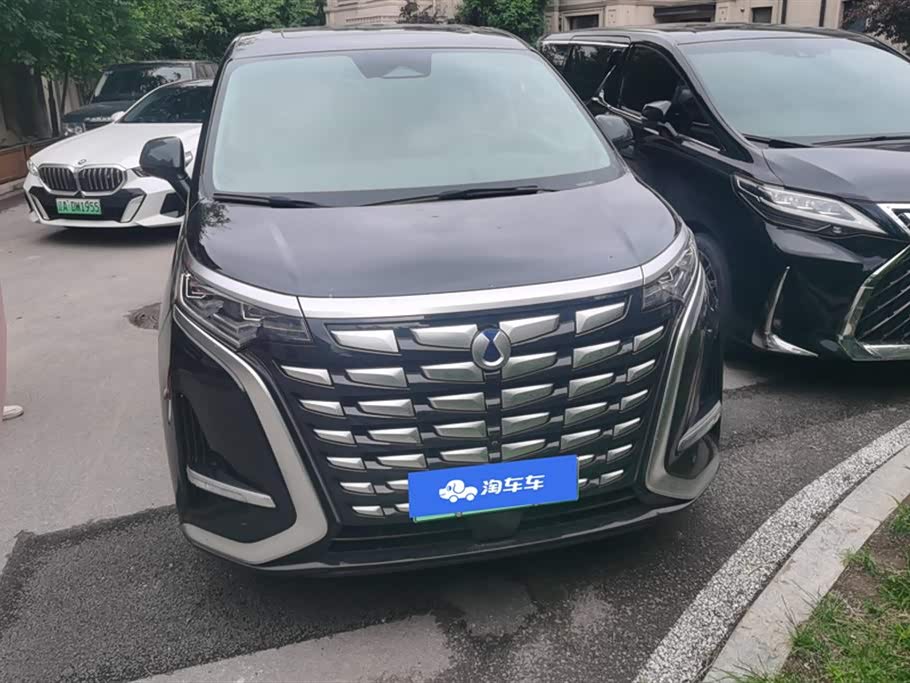 Denza D9