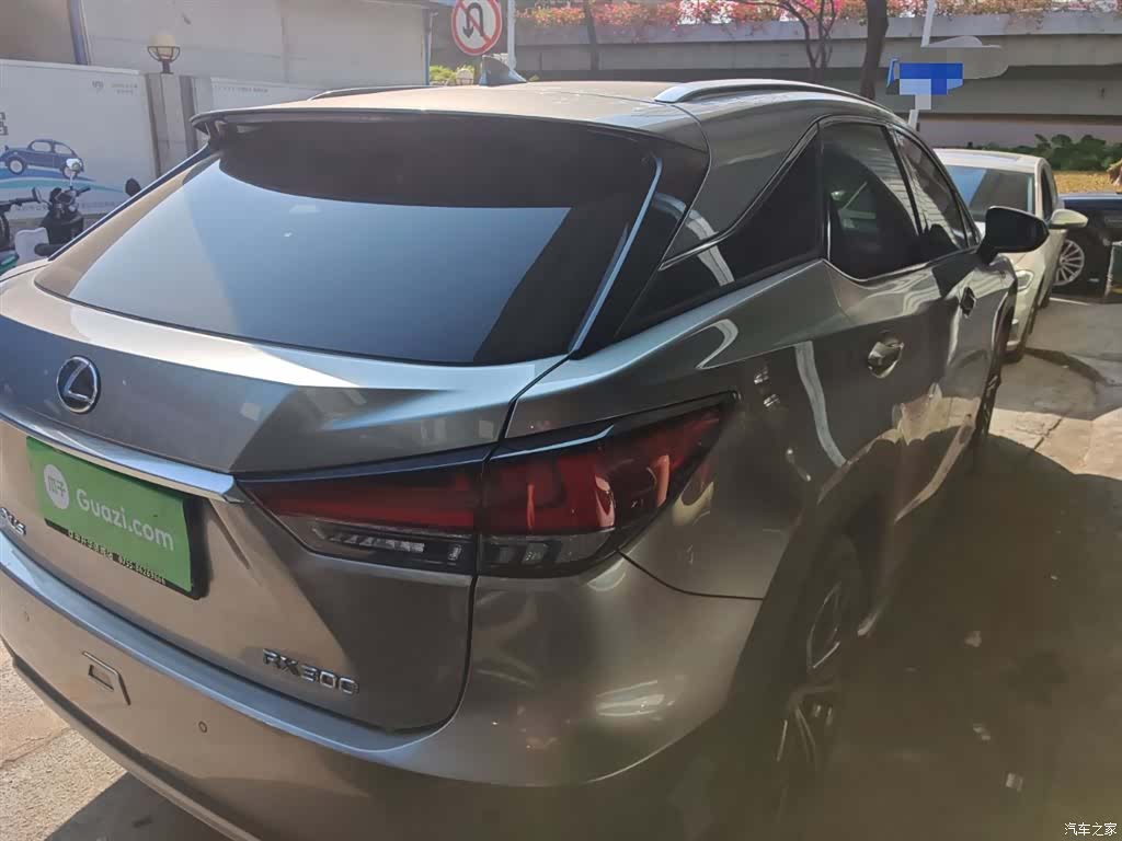 Lexus RX, 2022 все фото