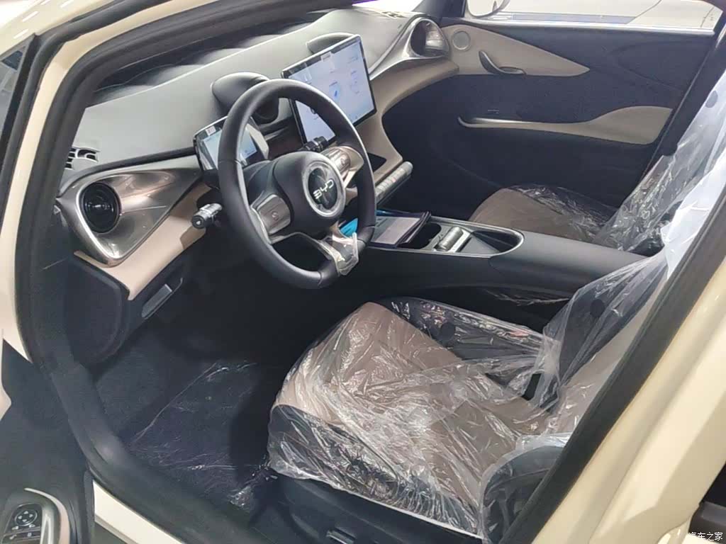BYD Dolphin, 2026 15