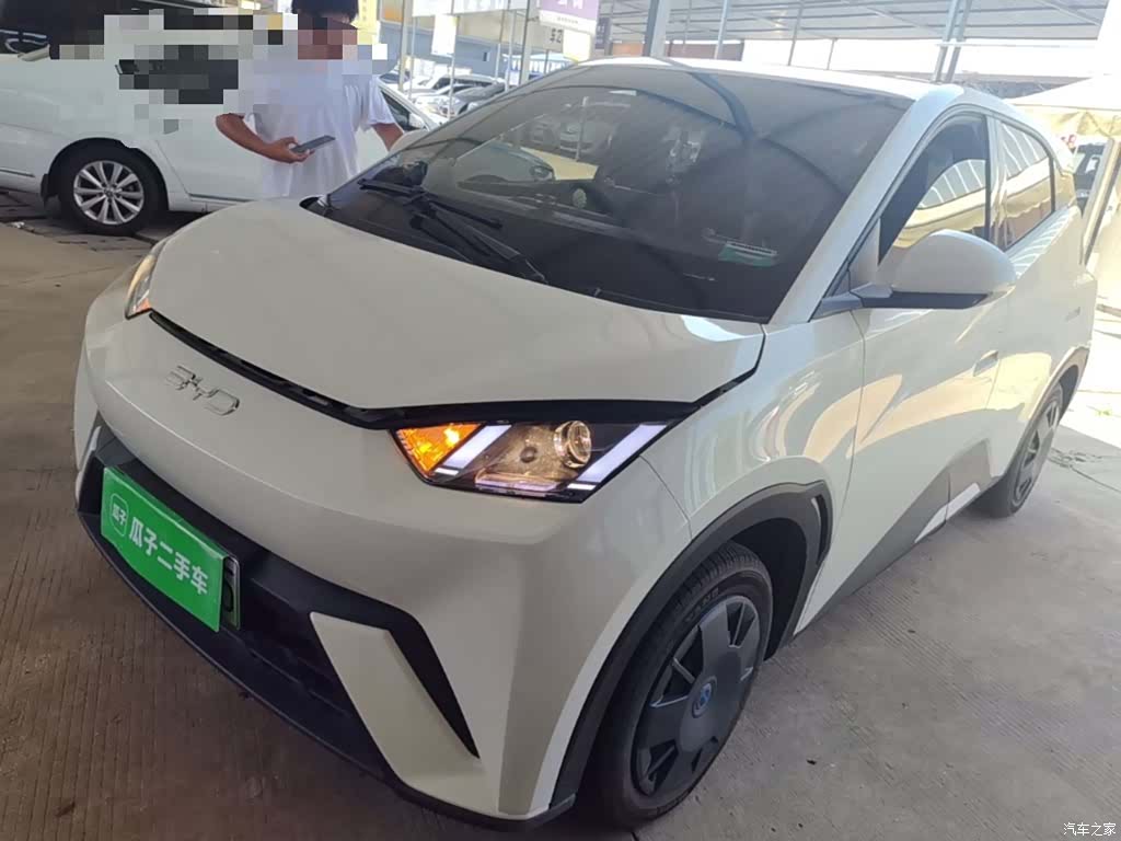 BYD Seagull, 2025 1