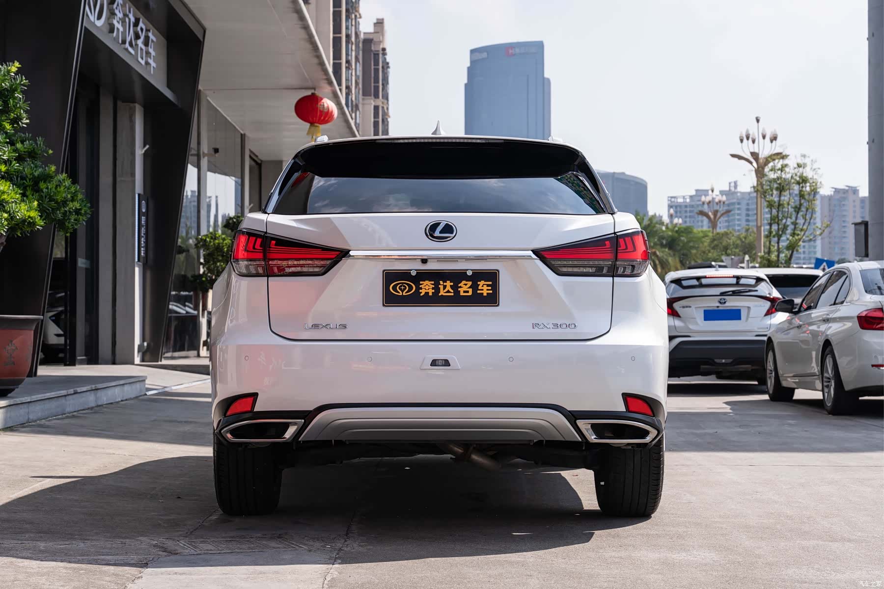 Lexus RX, 2021 все фото