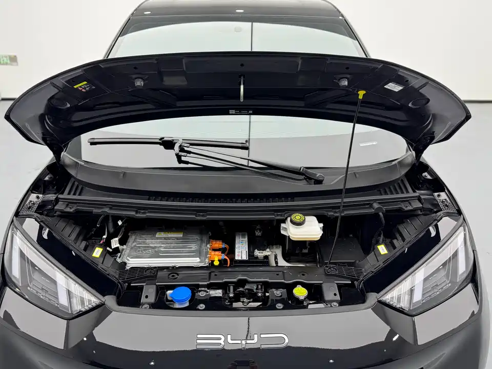 BYD Seagull