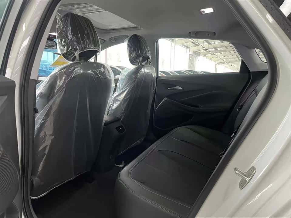 Buick Weilang