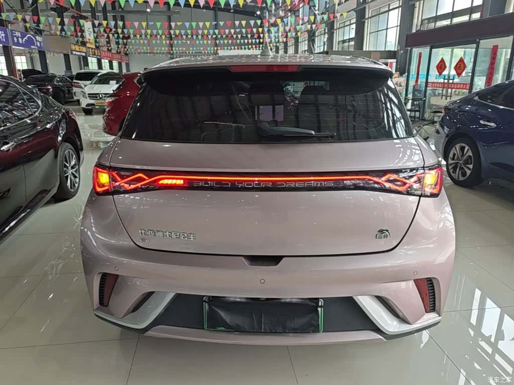 BYD Dolphin, 2023 6