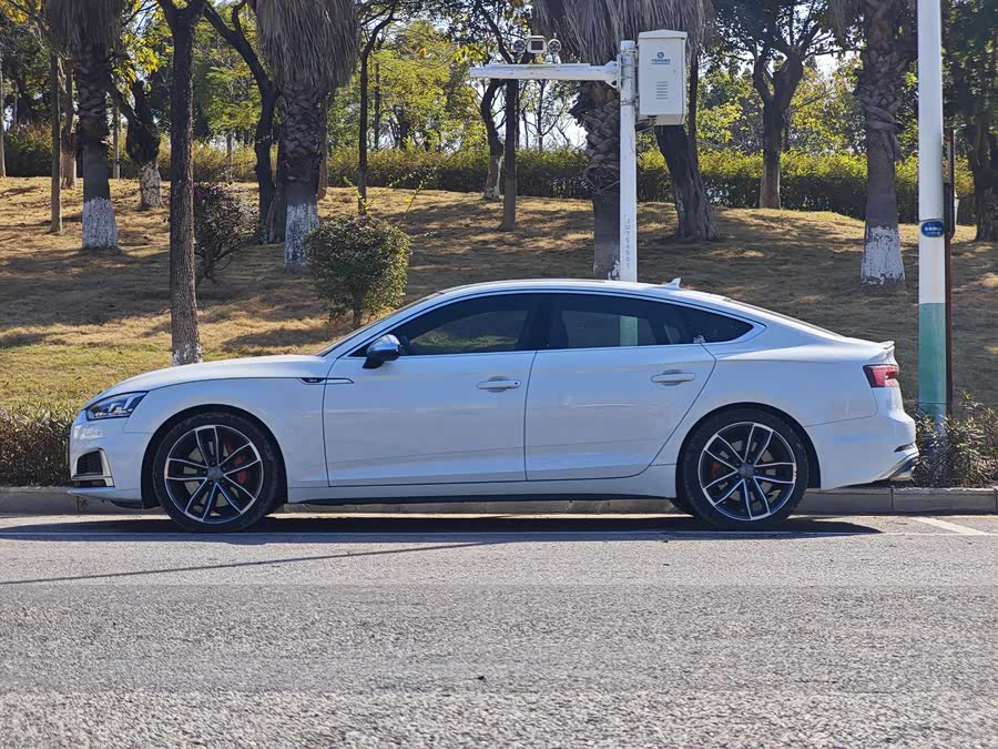 Audi S5 2018, фото 10